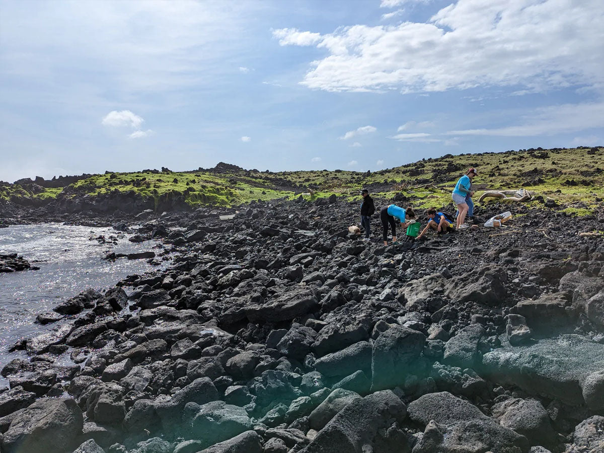 Hawaiian beach, rocky, with people picking up trash